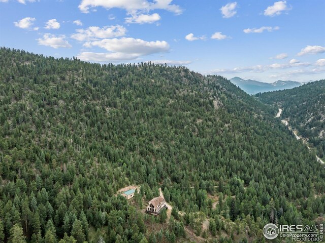 6260 County Road 43rd Rd, Estes Park, CO 80517 - photo 9
