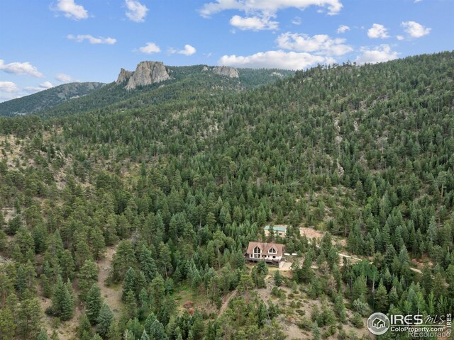 6260 County Road 43rd Rd, Estes Park, CO 80517 - photo 11