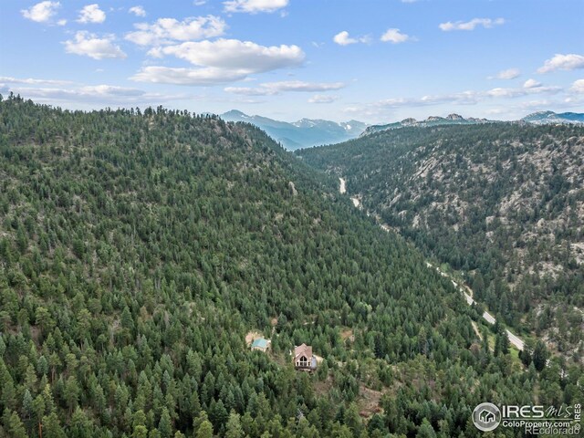 6260 County Road 43rd Rd, Estes Park, CO 80517 - photo 13