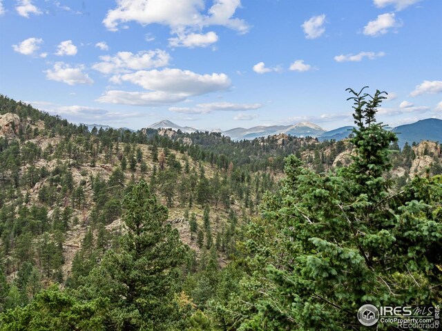 6260 County Road 43rd Rd, Estes Park, CO 80517 - photo 14