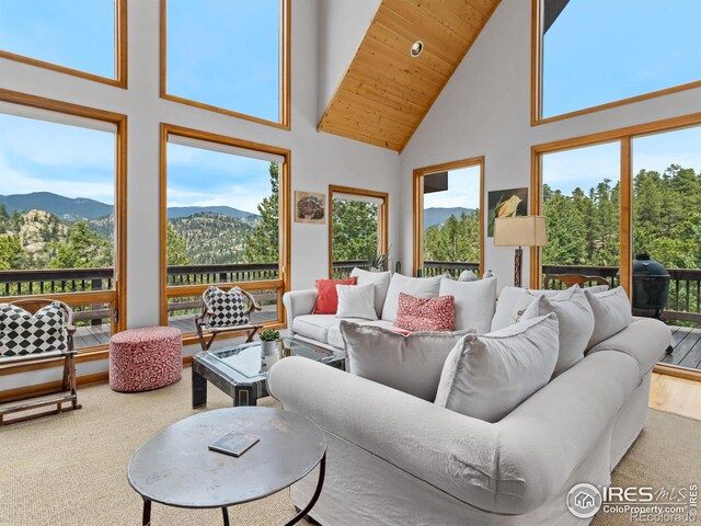 6260 County Road 43rd Rd, Estes Park, CO 80517 - photo 15