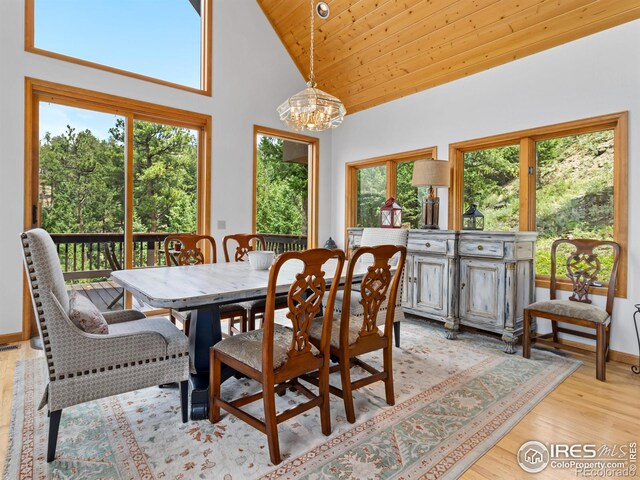6260 County Road 43rd Rd, Estes Park, CO 80517 - photo 18