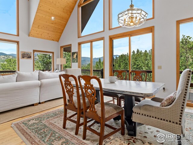 6260 County Road 43rd Rd, Estes Park, CO 80517 - photo 19