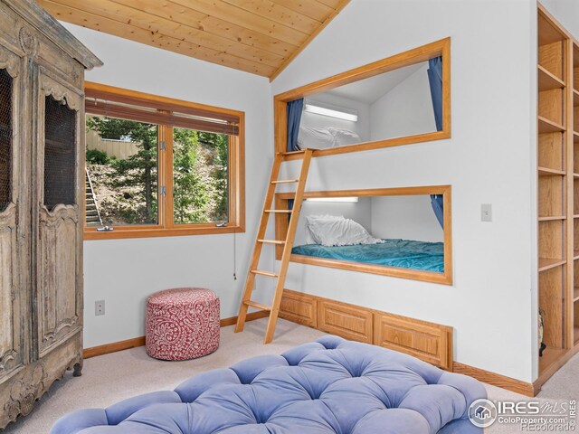 6260 County Road 43rd Rd, Estes Park, CO 80517 - photo 24
