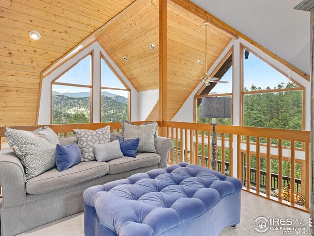 6260 County Road 43rd Rd, Estes Park, CO 80517 - photo 25