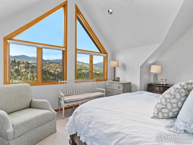 6260 County Road 43rd Rd, Estes Park, CO 80517 - photo 26