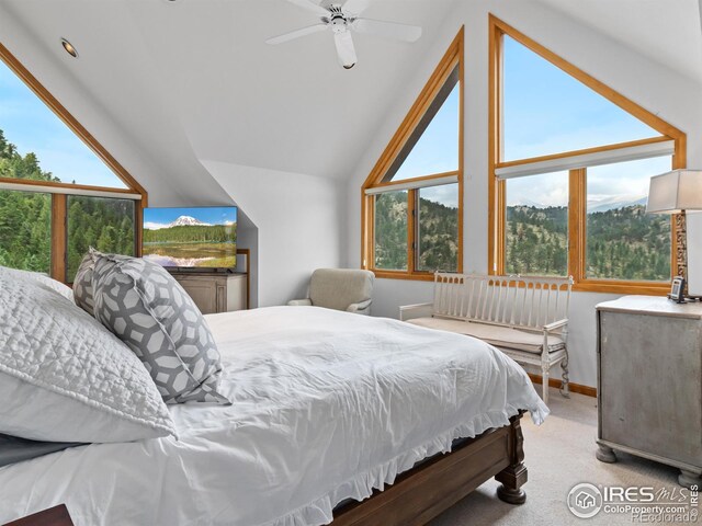 6260 County Road 43rd Rd, Estes Park, CO 80517 - photo 27