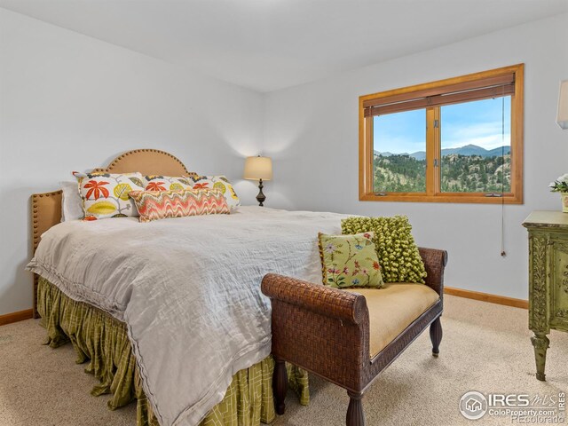 6260 County Road 43rd Rd, Estes Park, CO 80517 - photo 30