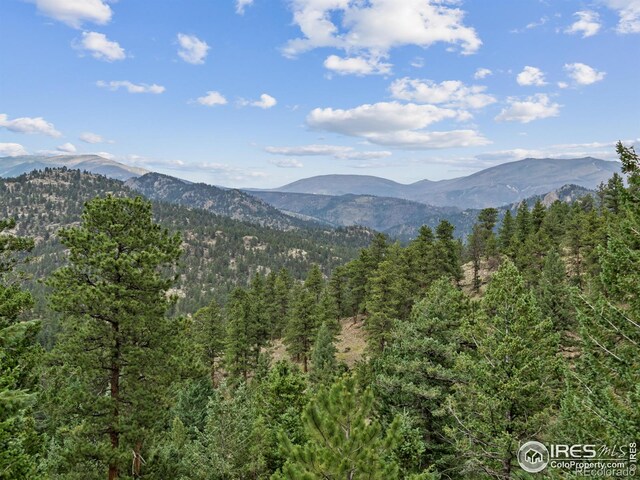 6260 County Road 43rd Rd, Estes Park, CO 80517 - photo 34