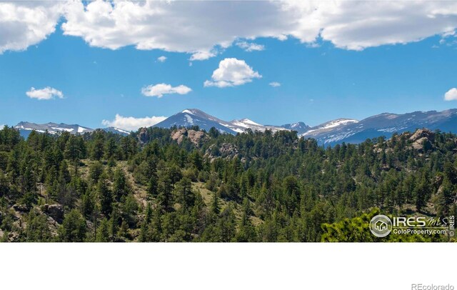 6260 County Road 43rd Rd, Estes Park, CO 80517 - photo 37