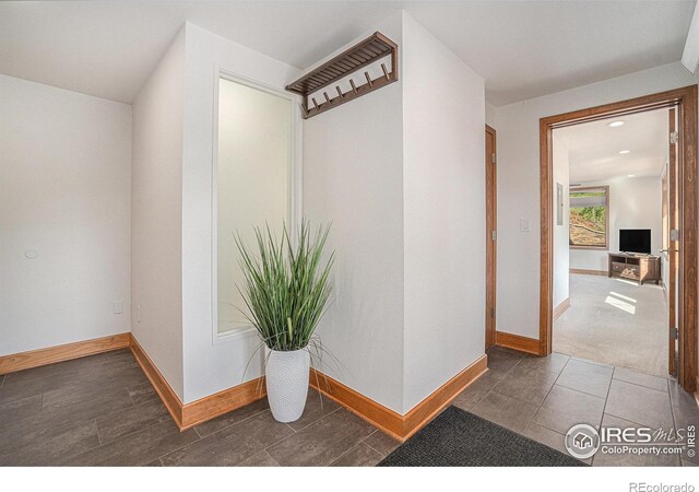5009 W Parkview Dr, Fort Collins, CO 80526 - photo 19