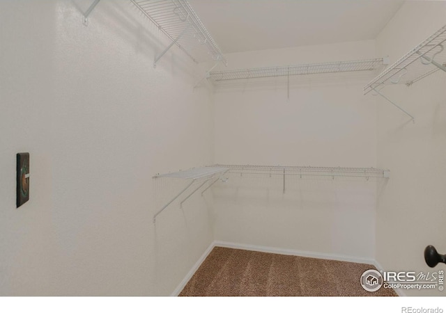 940 Petras St, Erie, CO 80516 - photo 22
