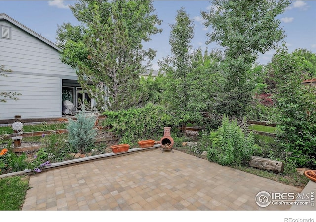 940 Petras St, Erie, CO 80516 - photo 29