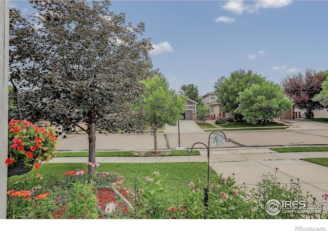 940 Petras St, Erie, CO 80516 - photo 31