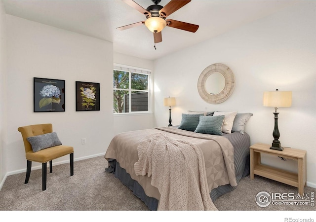 2075 Grays Peak Dr Unit 202, Loveland, CO 80538 - photo 9