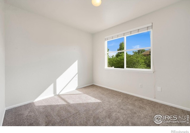 2075 Grays Peak Dr Unit 202, Loveland, CO 80538 - photo 14