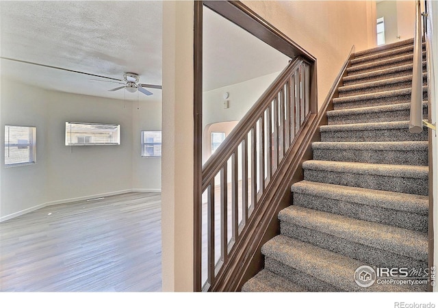 263 E 2nd St, Ault, CO 80610 - stairway with wood finished floors, healthy amount of natural light, and a ceiling fan