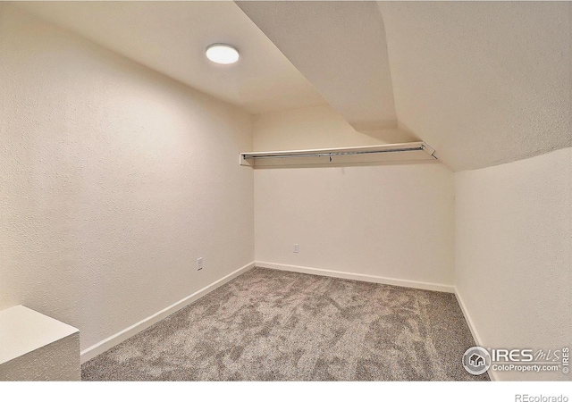 263 E 2nd St, Ault, CO 80610 - spacious closet with carpet floors