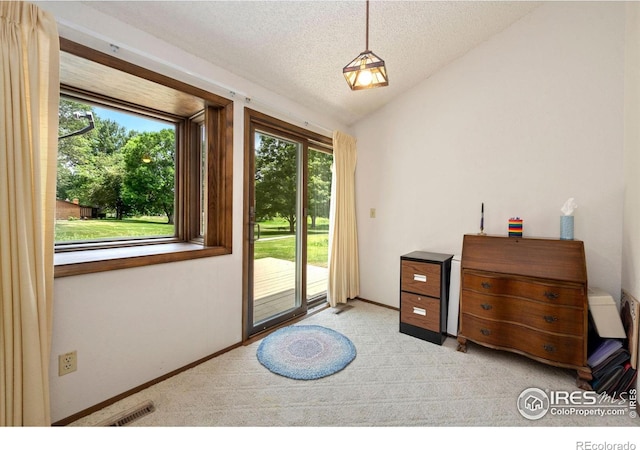 1100 Taft Ave Unit 13, Loveland, CO 80537 - photo 7