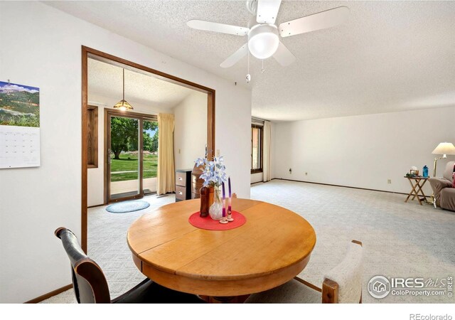 1100 Taft Ave Unit 13, Loveland, CO 80537 - photo 8