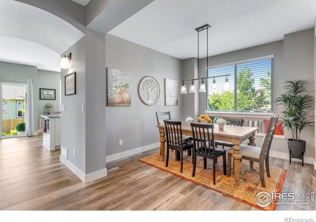 7151 Eden Ridge Ln, Fort Collins, CO 80525 - photo 9