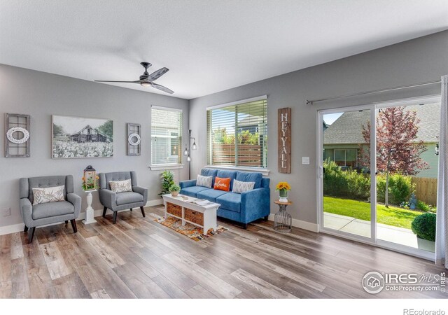 7151 Eden Ridge Ln, Fort Collins, CO 80525 - photo 11