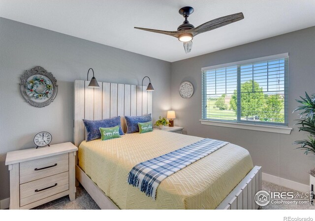 7151 Eden Ridge Ln, Fort Collins, CO 80525 - photo 18