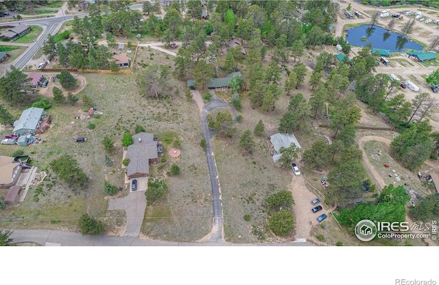 1141 Wallace Ln, Estes Park, CO 80517 - photo 2
