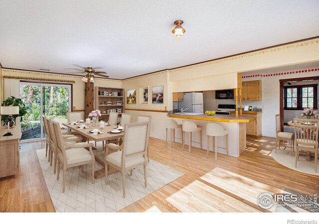 1141 Wallace Ln, Estes Park, CO 80517 - photo 9