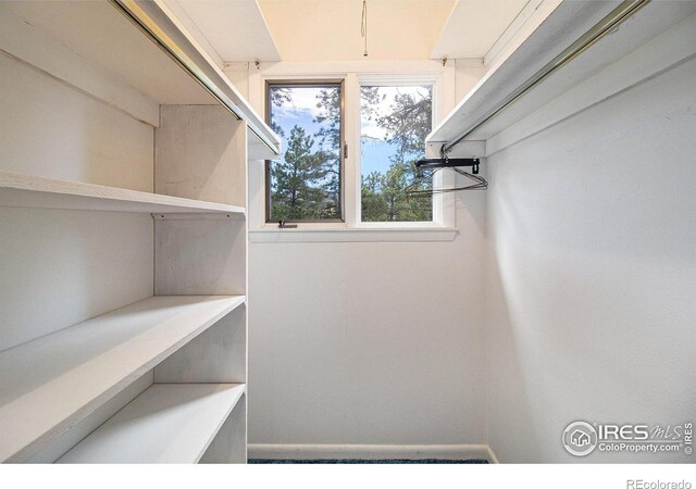 1141 Wallace Ln, Estes Park, CO 80517 - photo 23