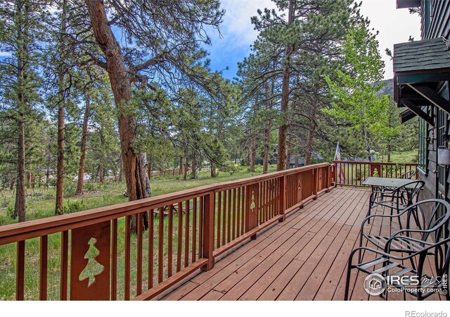 1141 Wallace Ln, Estes Park, CO 80517 - photo 24