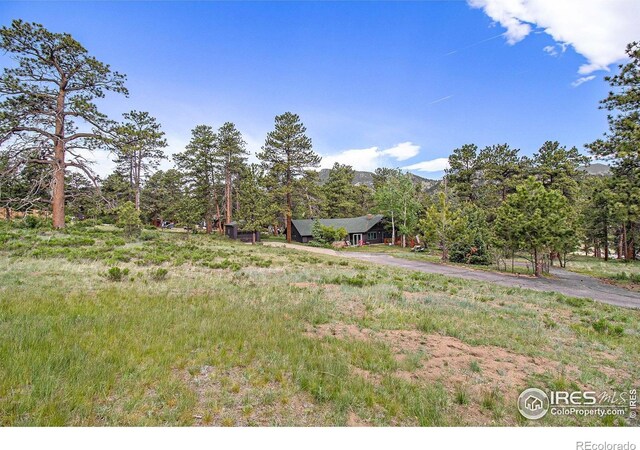 1141 Wallace Ln, Estes Park, CO 80517 - photo 27