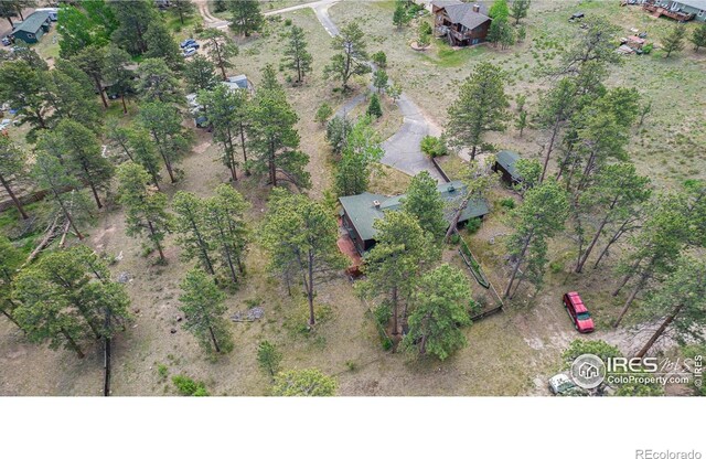 1141 Wallace Ln, Estes Park, CO 80517 - photo 30