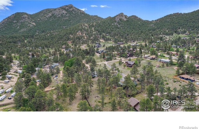 1141 Wallace Ln, Estes Park, CO 80517 - photo 31