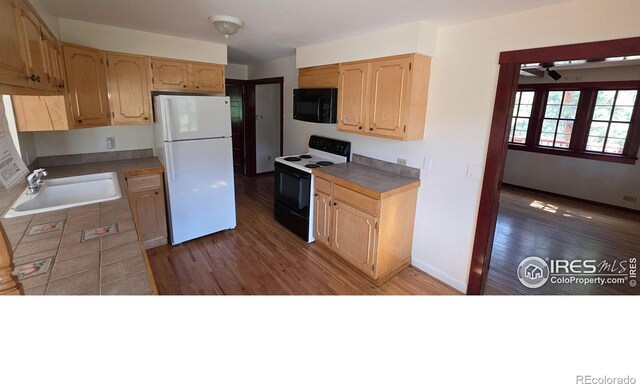 1141 Wallace Ln, Estes Park, CO 80517 - photo 14