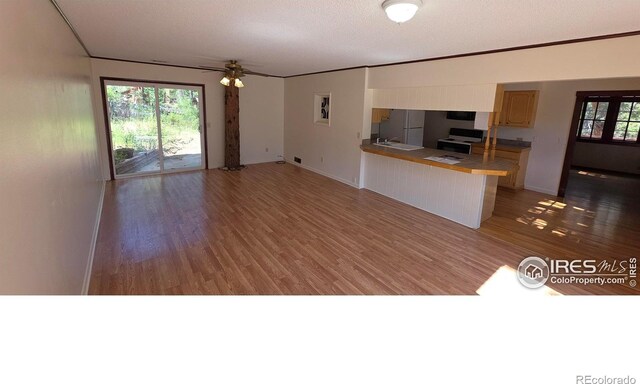 1141 Wallace Ln, Estes Park, CO 80517 - photo 10
