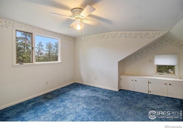1141 Wallace Ln, Estes Park, CO 80517 - photo 20