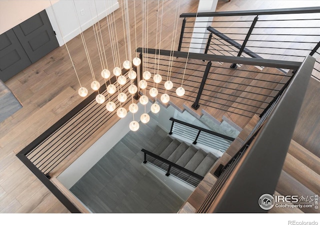 2145 Picture Pointe Dr, Windsor, CO 80550