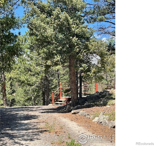 383 Evergreen Rd, Black Hawk, CO 80422 - view of dirt / gravel driveway