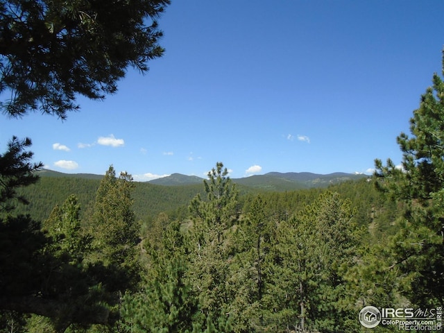 383 Evergreen Rd, Black Hawk, CO 80422 - mountain view featuring a heavily wooded area