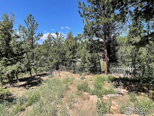383 Evergreen Rd, Black Hawk, CO 80422 - view of nature