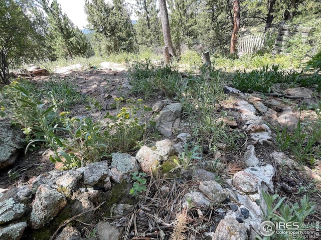 383 Evergreen Rd, Black Hawk, CO 80422 - view of local wilderness