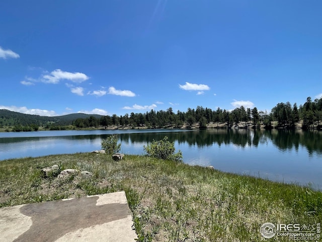 383 Evergreen Rd, Black Hawk, CO 80422 - water view with a forest