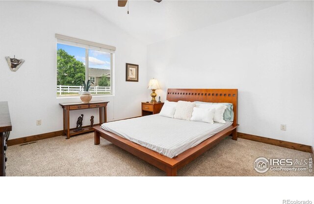 3625 Como Ct, Loveland, CO 80538 - photo 13