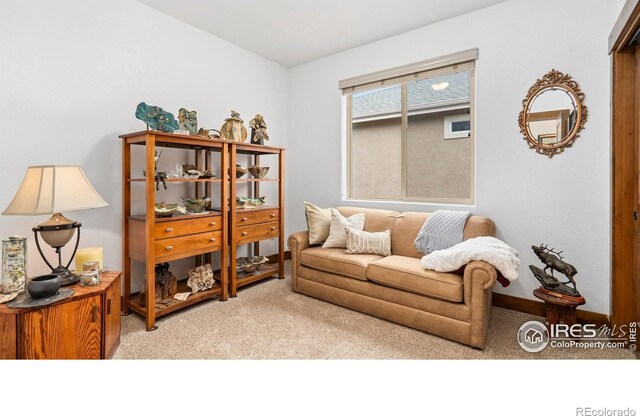 3625 Como Ct, Loveland, CO 80538 - photo 15