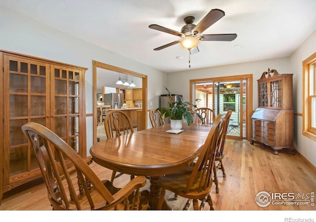 908 Pine Dr, Windsor, CO 80550 - photo 8