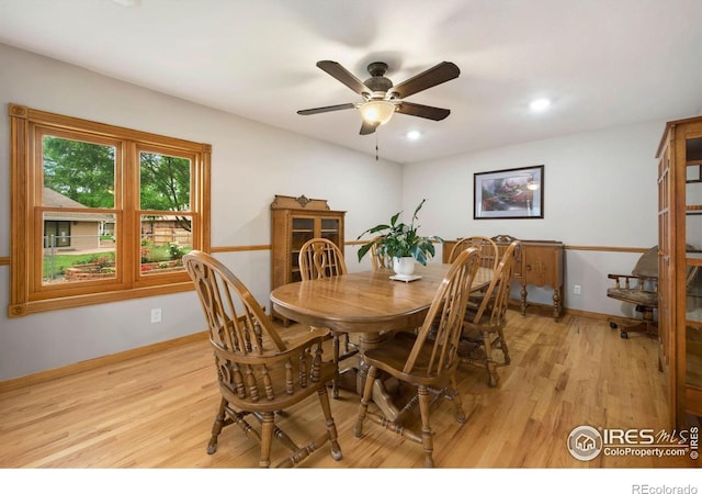 908 Pine Dr, Windsor, CO 80550 - photo 9