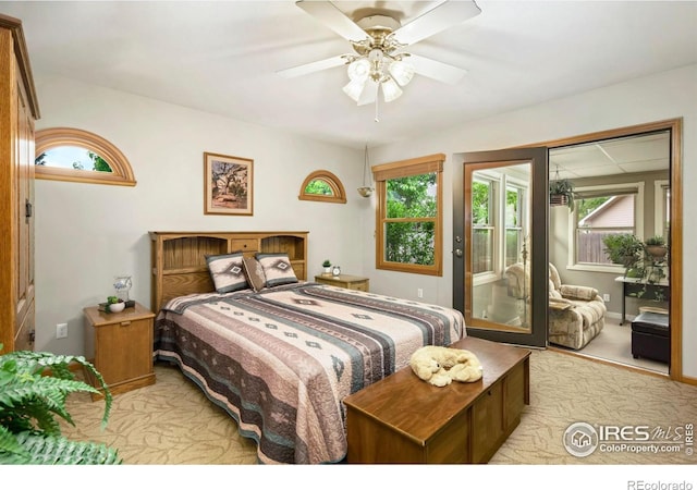 908 Pine Dr, Windsor, CO 80550 - photo 10