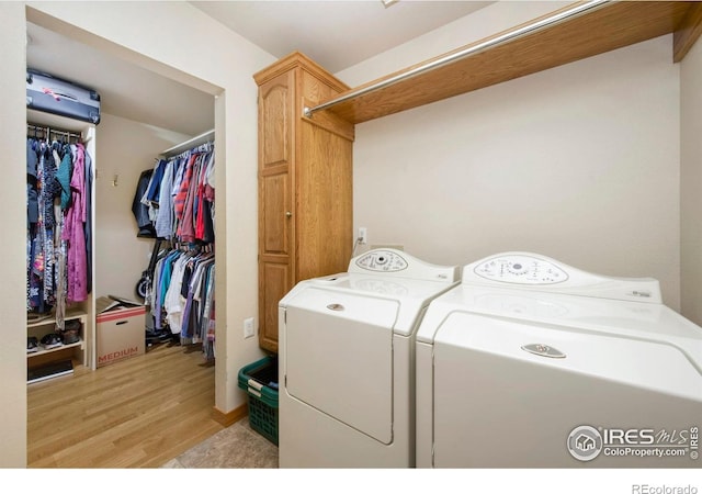 908 Pine Dr, Windsor, CO 80550 - photo 15