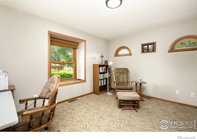 908 Pine Dr, Windsor, CO 80550 - photo 17